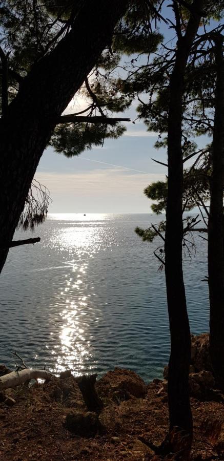 Luxury Apartment Spa "Marina" Makarska Bagian luar foto
