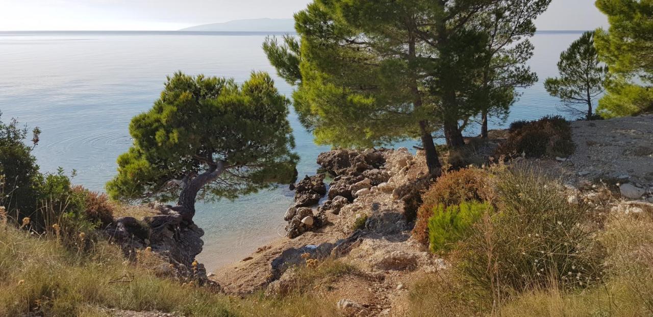 Luxury Apartment Spa "Marina" Makarska Bagian luar foto